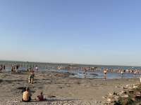 Megható összefogás a siófoki strandon: emberláncban kerestek egy eltűnt ötéves kisfiút