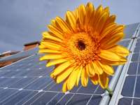 Fordulat a napelempiacon - Választható marad a szaldós elszámolás a támogatással épült rendszerekre
